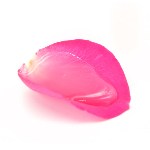 Fast Facial - Rose Glycolic Exfoliator ( leaving soon)